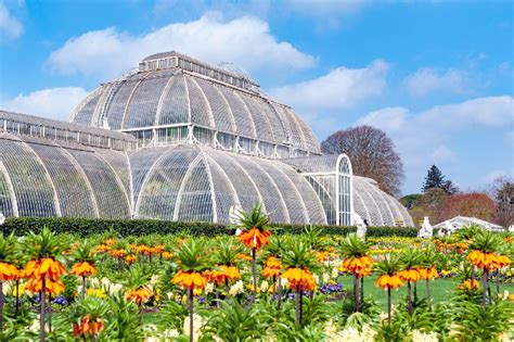  Kew Gardens: A History in Bloom - Exploring Nature's Grandeur Through Horticultural Art