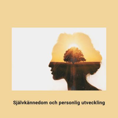  Livet Är Ett Experiment: En Djupdykning i Självkännedom och Personlig Tillväxt